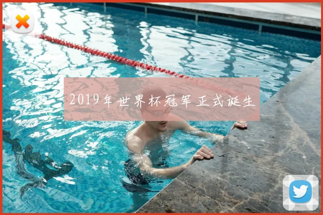 2019年世界杯冠军正式诞生