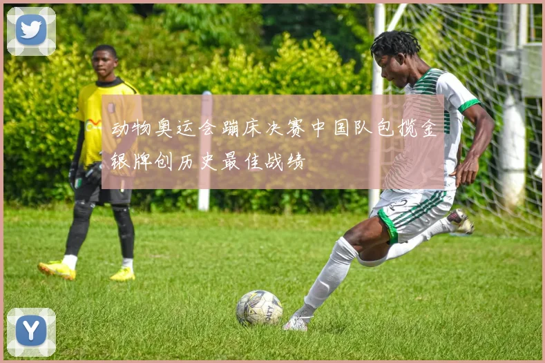 动物奥运会蹦床决赛中国队包揽金银牌创历史最佳战绩