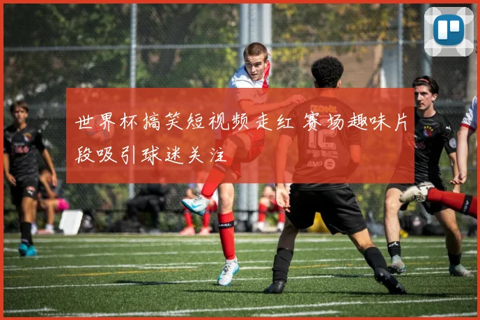 世界杯搞笑短视频走红 赛场趣味片段吸引球迷关注