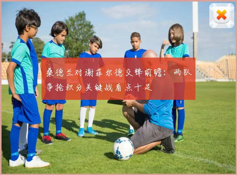 桑德兰对谢菲尔德交锋前瞻：两队争抢积分关键战看点十足