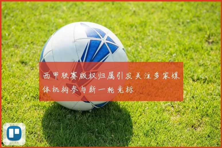 西甲联赛版权归属引发关注多家媒体机构参与新一轮竞标