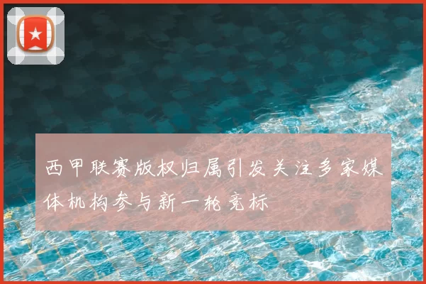 西甲联赛版权归属引发关注多家媒体机构参与新一轮竞标