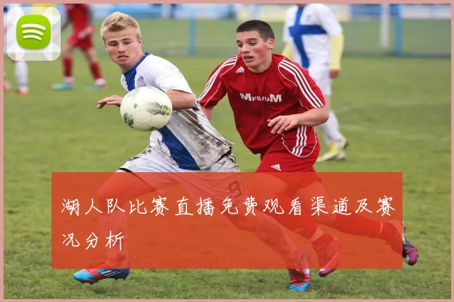 湖人队比赛直播免费观看渠道及赛况分析